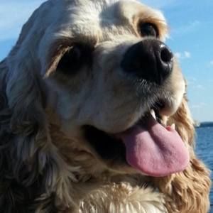 Meet your Posher, Ann